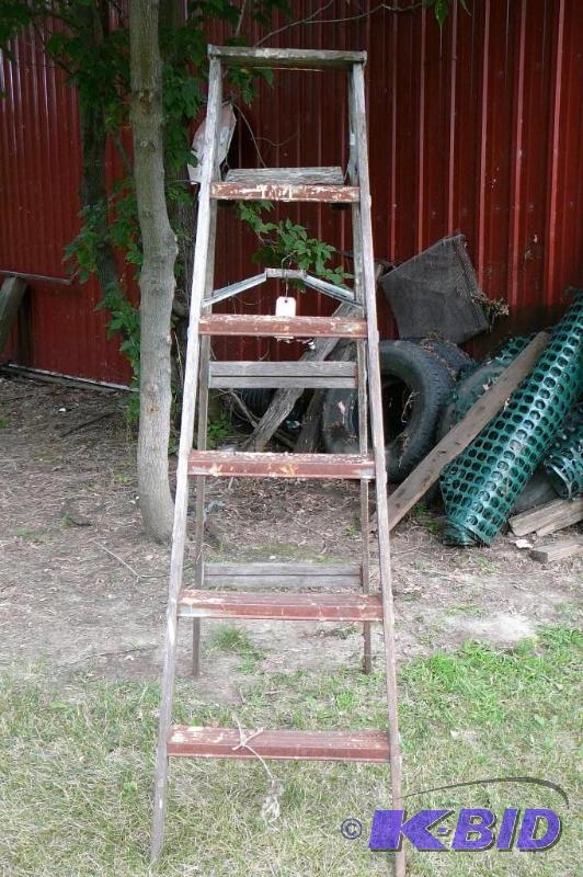 lot 202 image: 8 step ladder...