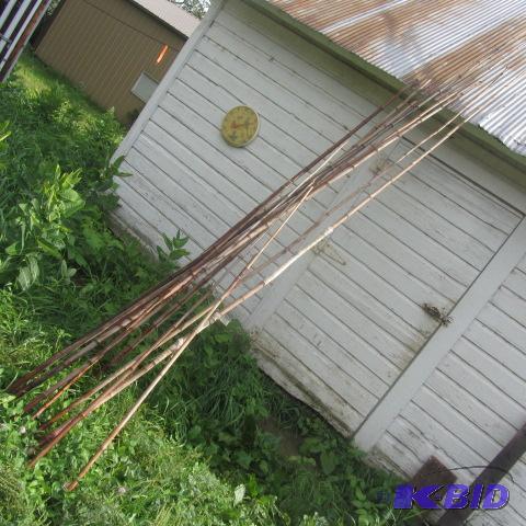 Cane Poles