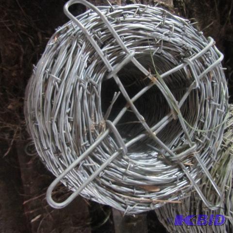 New Barb Wire