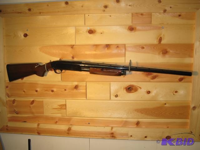 Browning Pump