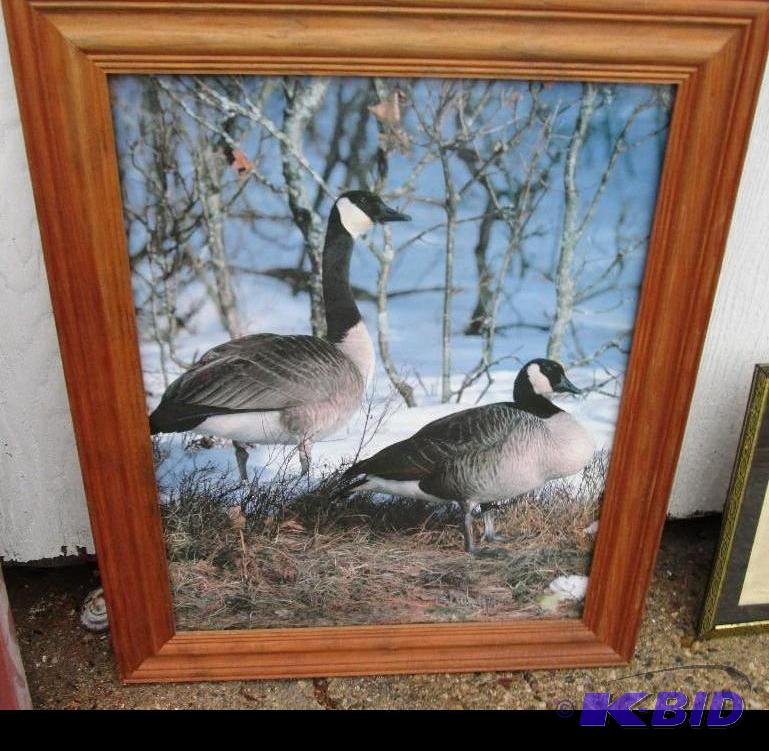 framed artwork - Canadian Geese 24&quotx21&q...