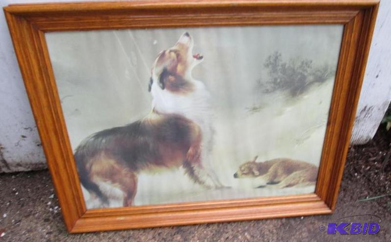 Large framed print howling collie found the l...