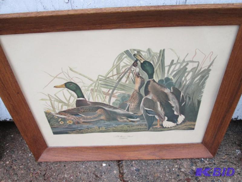 framed artwork ducks 17&quotx21&quot...