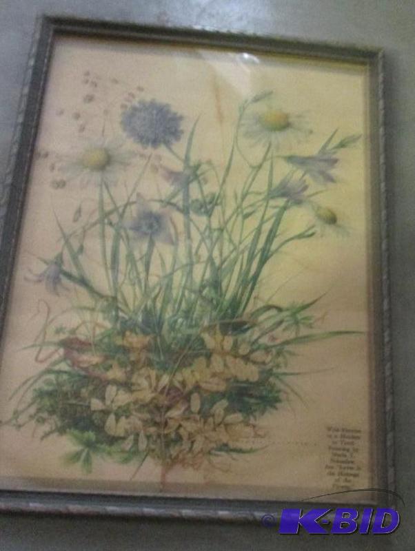 framed picture &quotWild Flowers in a Meadow...