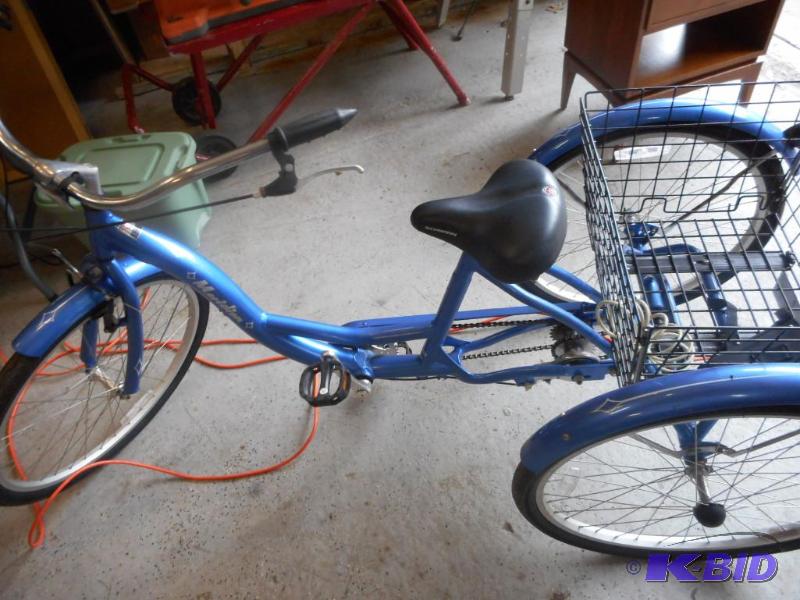 Meridian Schwinn 3-Wheel Bike