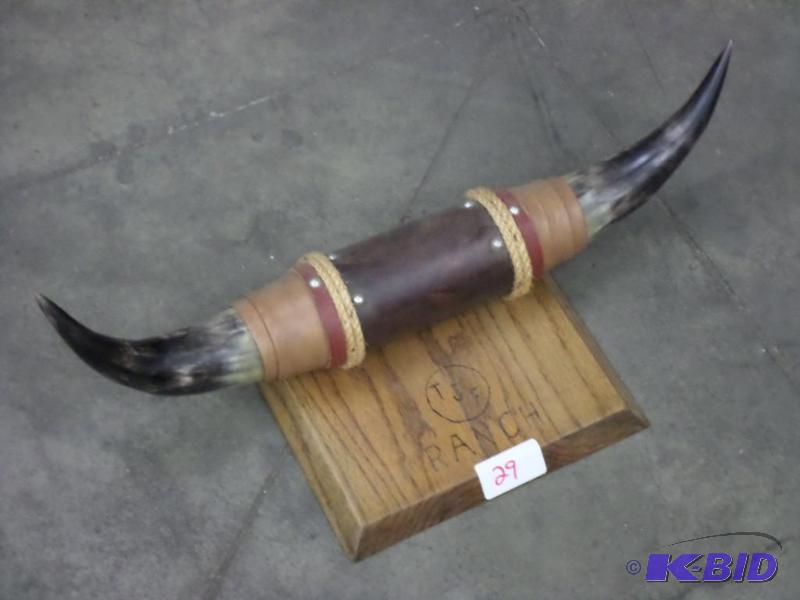lot 29 image: Bull Horn Mount, 22"...