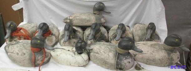lot 53 image: Lot of 11 Duck Decoys Hunting