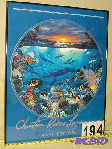 lot 194 image: Framed Art Print Circle Of Life From the Hawa...