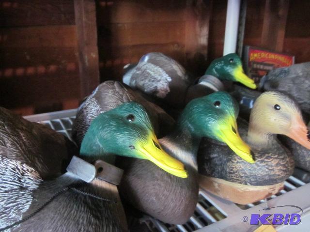 Lot of (6) Plano duck decoys....