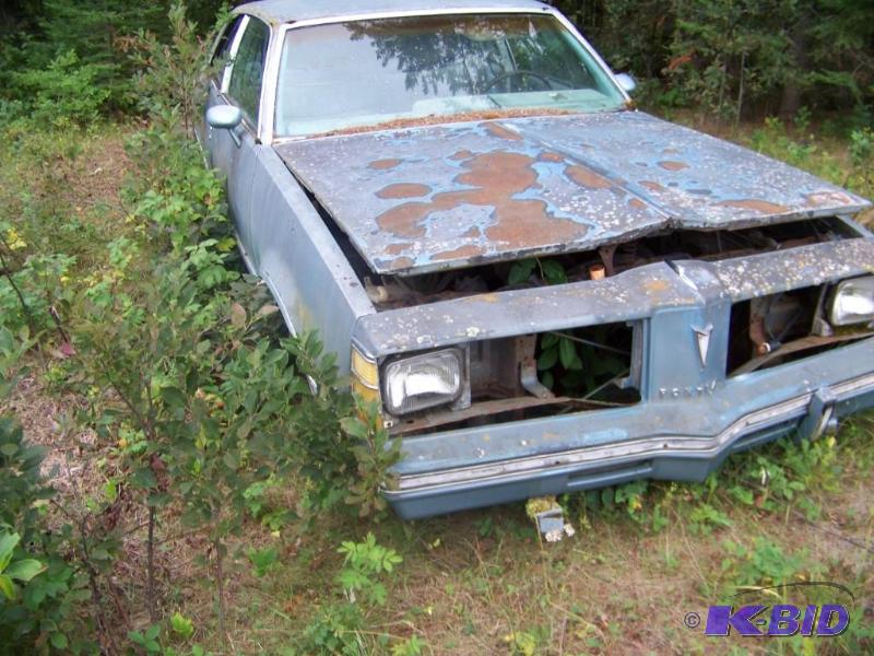 lot 3 image: 1978 Pontiac Grand Lemans