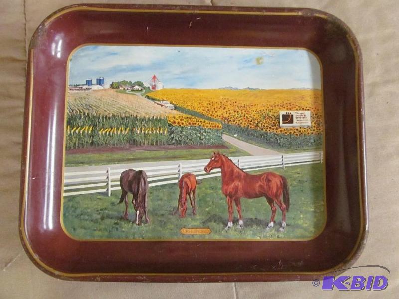 Tray