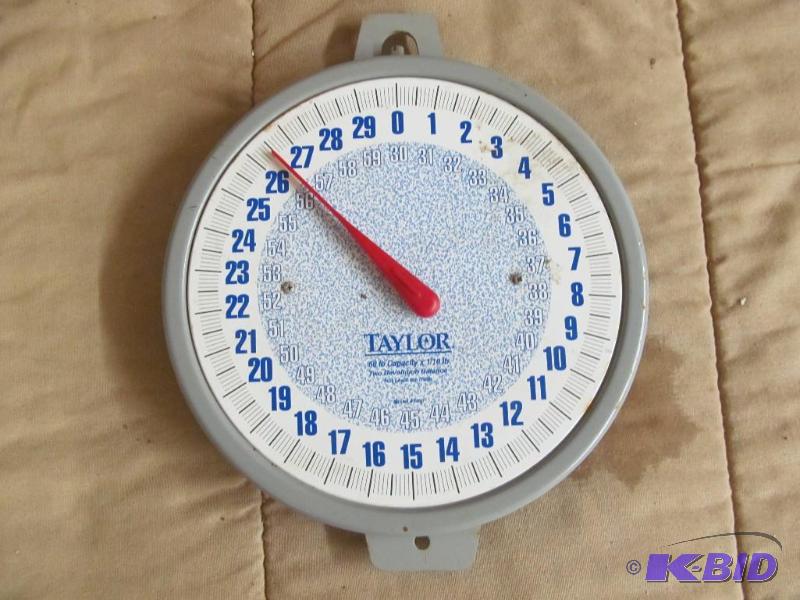 Scale