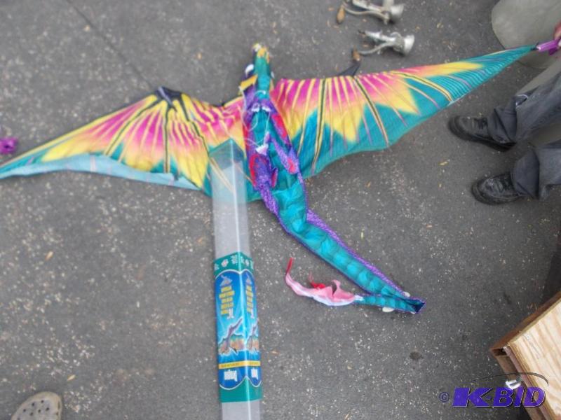 lot 41 image: 76" Wing Span Dragon Kite...