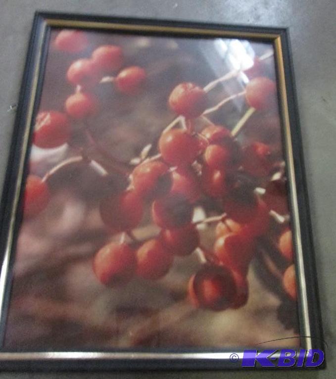 lot 271 image: framed art berries 8&quotx 10"...