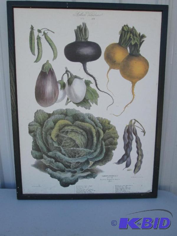 lot 8 image: French Botanical print,Vilmorin-Andrieux &...