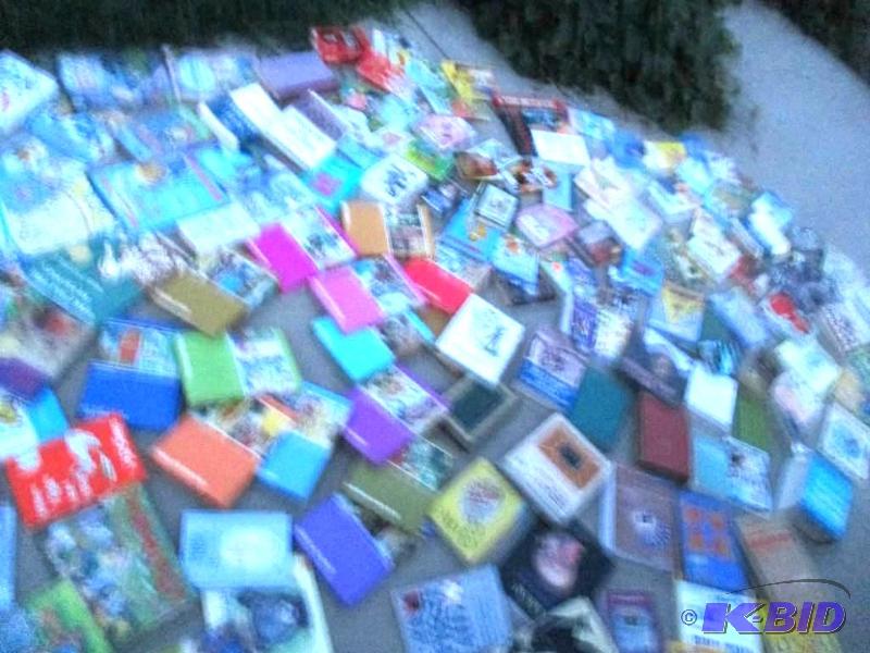 huge lot of mixed books...