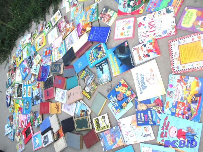 huge lot of mixed books...