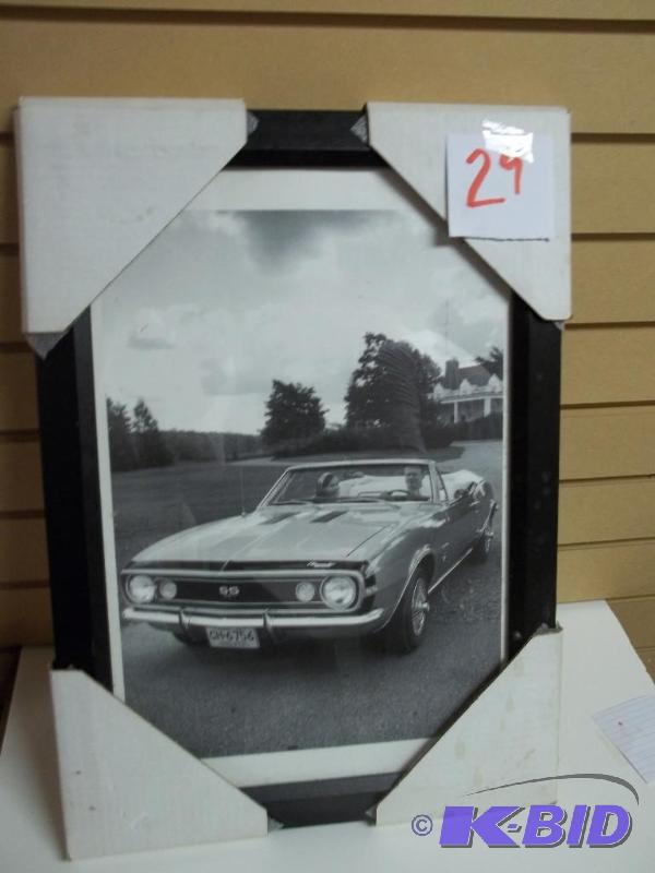 Camaro picture, black and white, new, 14x20...