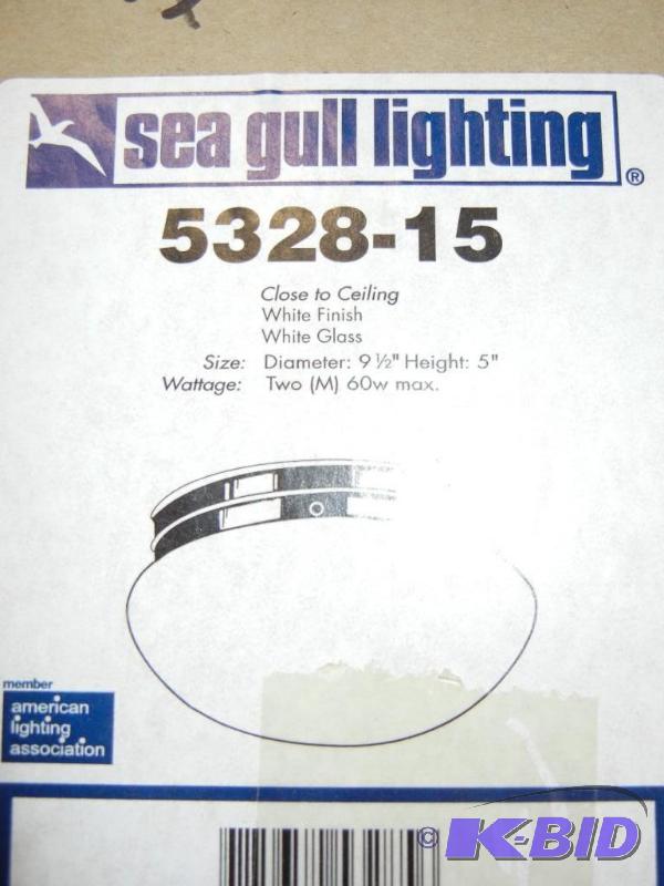 lot 70 image: Light Fixture
