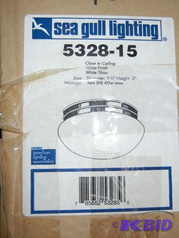 lot 74 image: Light Fixture