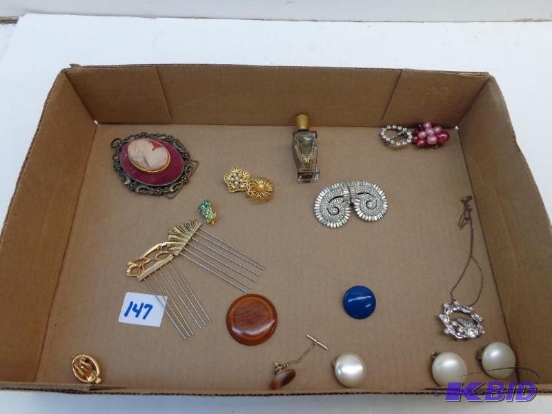 lot 147 image: Assorted Hair Picks, Pins, and Clip Ear Rings...