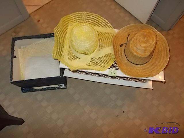 2-Plastic Stacking Shelves, 2-Hats With Hat B...