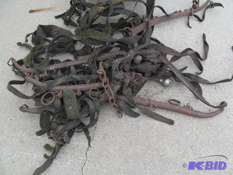 Horse Equipment