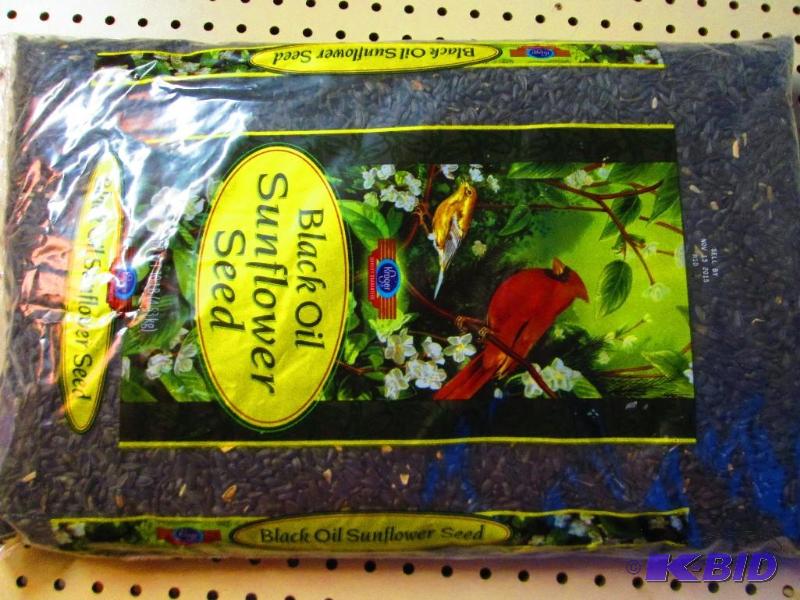 10 Pound bag of black oil sunflower seed, dat...