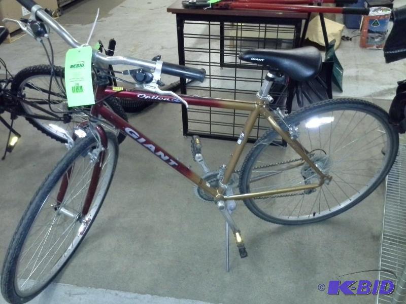 Giant Brand Mountain Bike