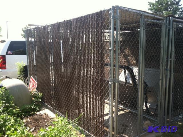 Chain Link Dog Kennel