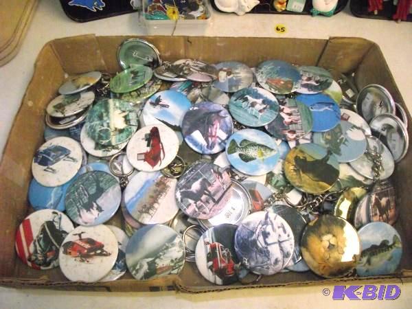 Large Quantity Of Pins and Key Chains...