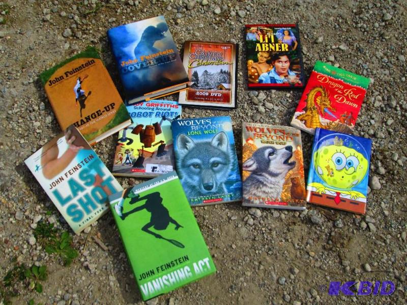 small lot of mixed kids, sports books...