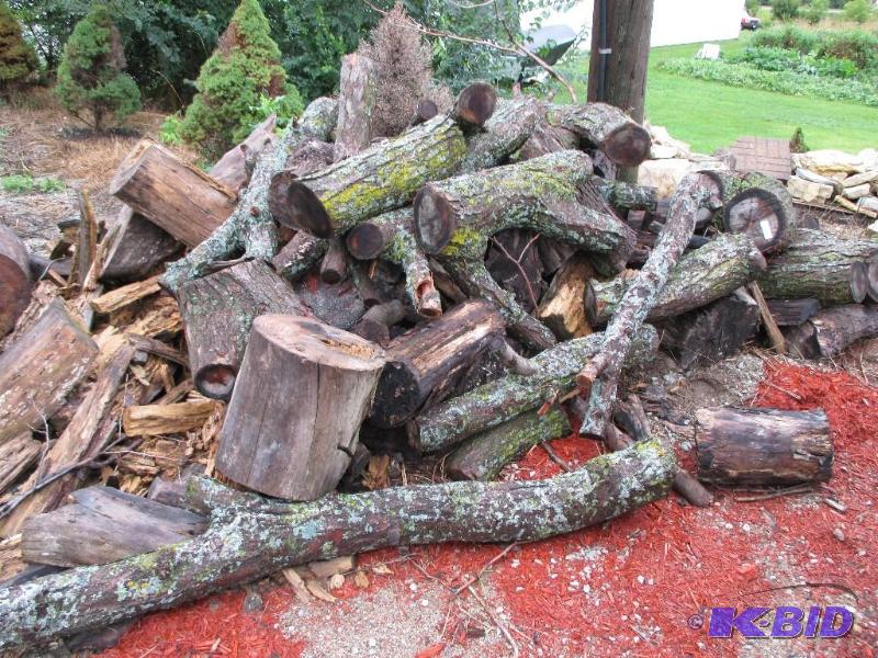 lot 37 image: Pile of firewood, about a pickup load...