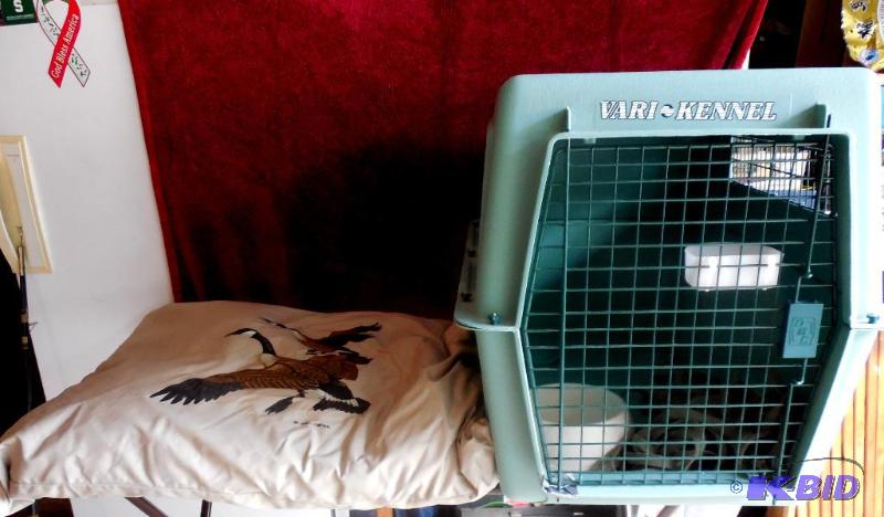 Dog Bed, Bowl & Kennel