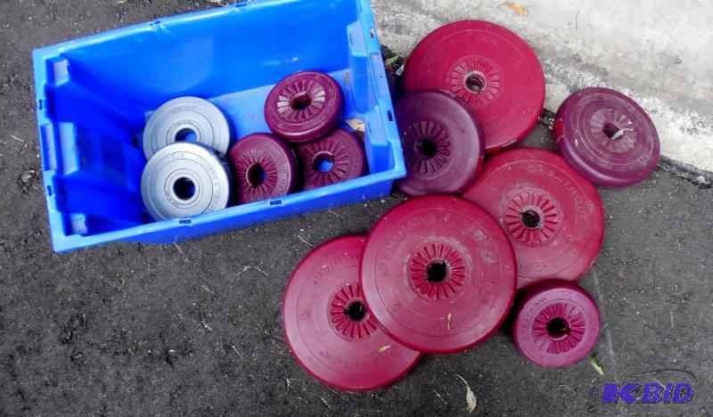Vintage Orbatron Weights Plates Discs