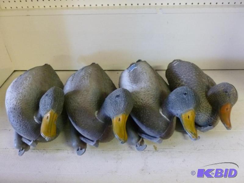 lot 24 image: Lot of four large sport plast mallard duck fl...