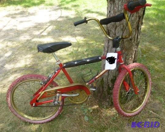 Murray - Team Murray Track Certified Youth Bi...
