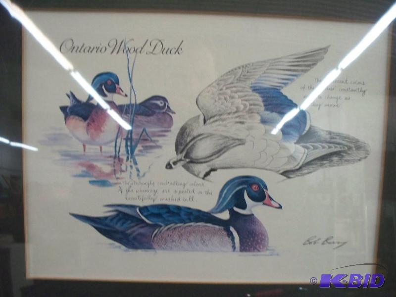lot 42 image: Ontario Wood Duck by Bob Berry...