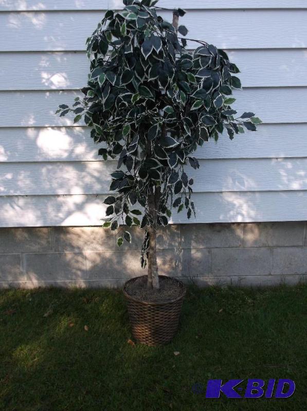 lot 35 image: Fake tree in wicker basket about 6 tall appe...