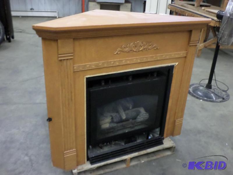 lot 37 image: 120Volt Electric Gas-Fired Fireplace With Woo...