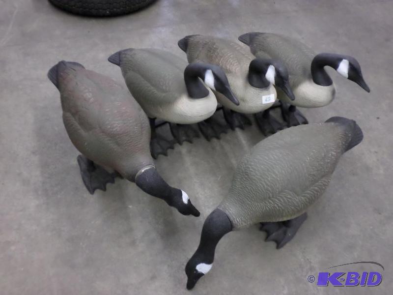 lot 62 image: (5) Big Foot Goose Decoys...
