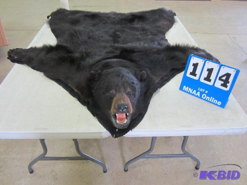lot 114 image: Large Black Bear Area Rug Taxidermy