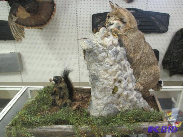 lot 135 image: Bobcat and Squirrel