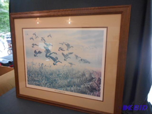 lot 32 image: Hazy Morning Canadas
