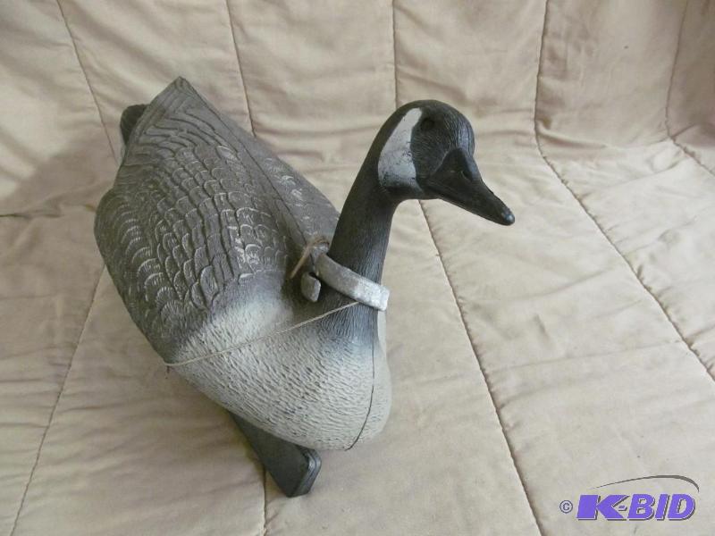 Decoy