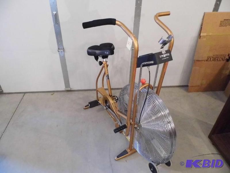 AirDyne Bike