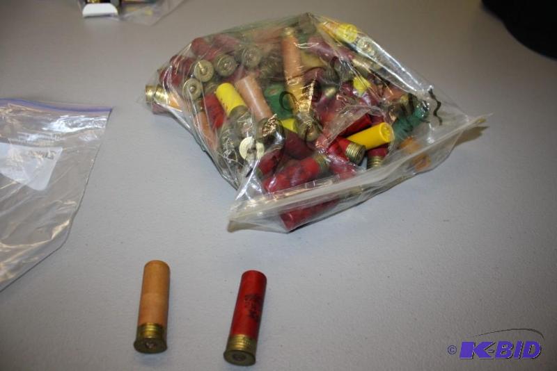 lot 276 image: Bag of miscellaneous 20 gauge shotgun shells....