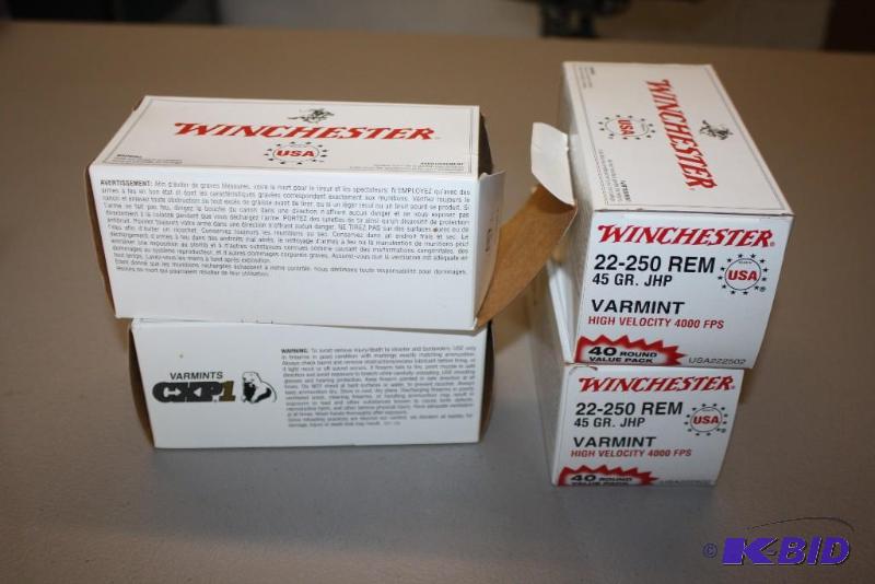 lot 286 image: Winchester 22-250 UMC REM Jacketed Hollow-Poi...