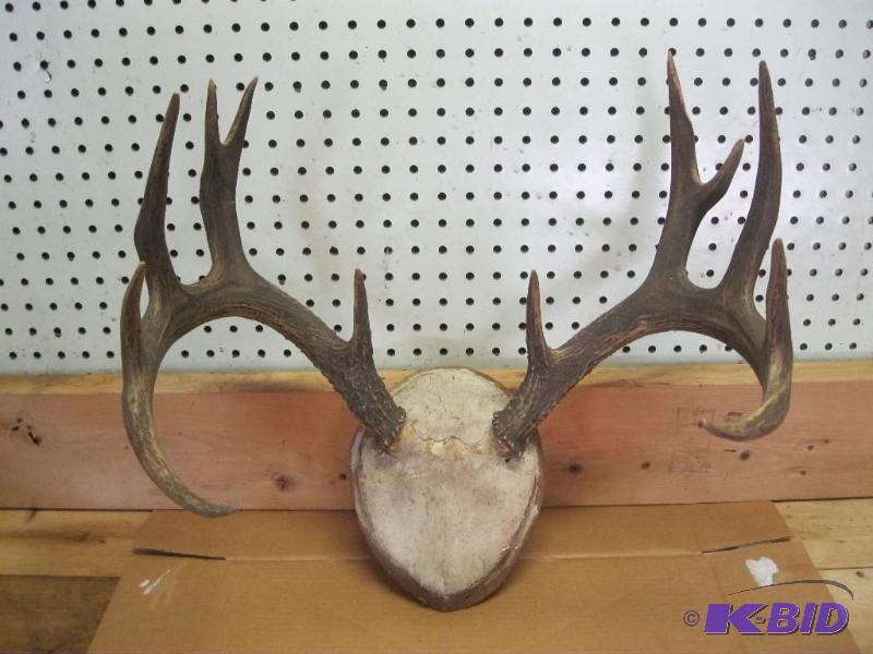 Very Nice Large Deer Rack&nbsp...