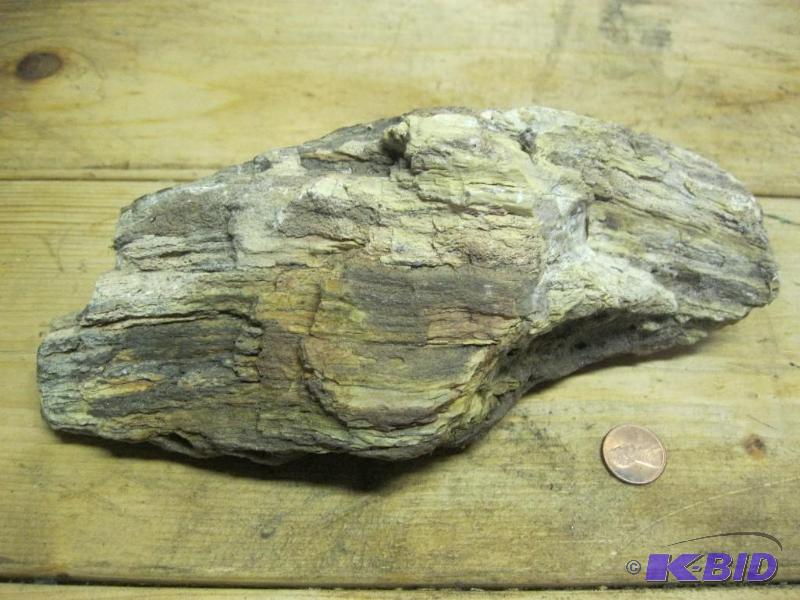 Large Piece Of Petrified Wood...